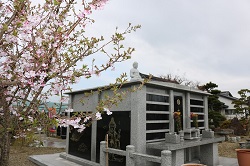 大乗塔